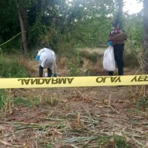 tarlada kafatasi ve kemikler bulundu jandarma harekete gecti duzcede sir olum bwUaGXxV