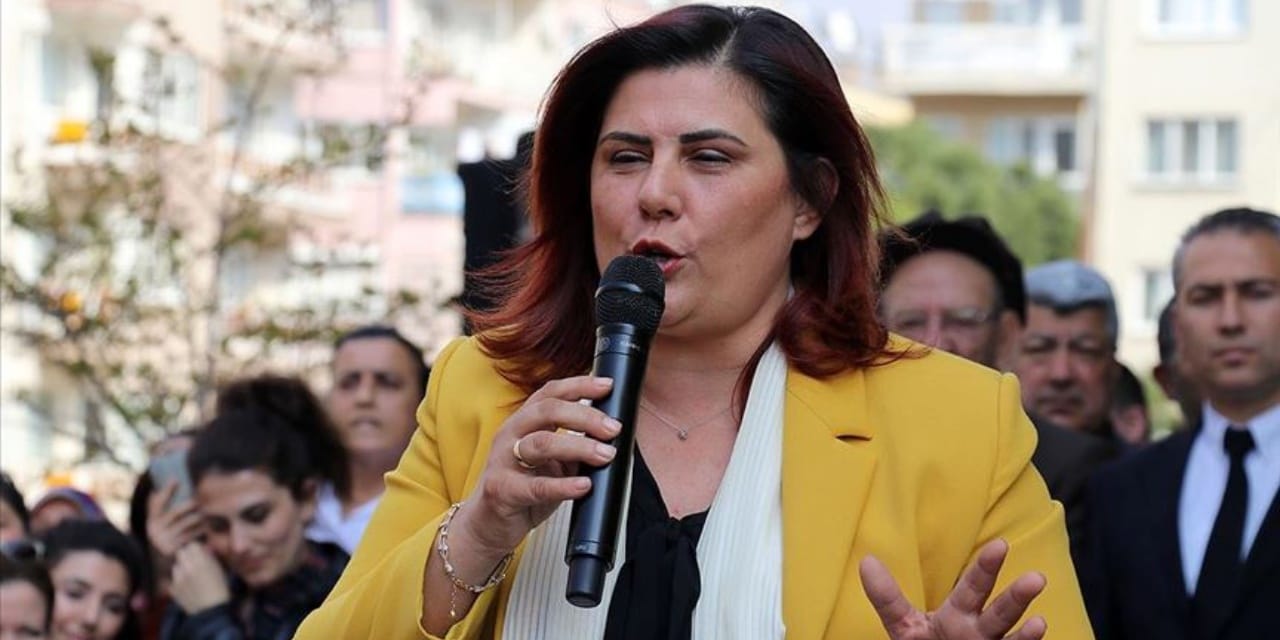 akpli cercioglu istemedi iddiasi aleyna tilki ve edis konseri iptal edildi zcZ9Wezl.jpg