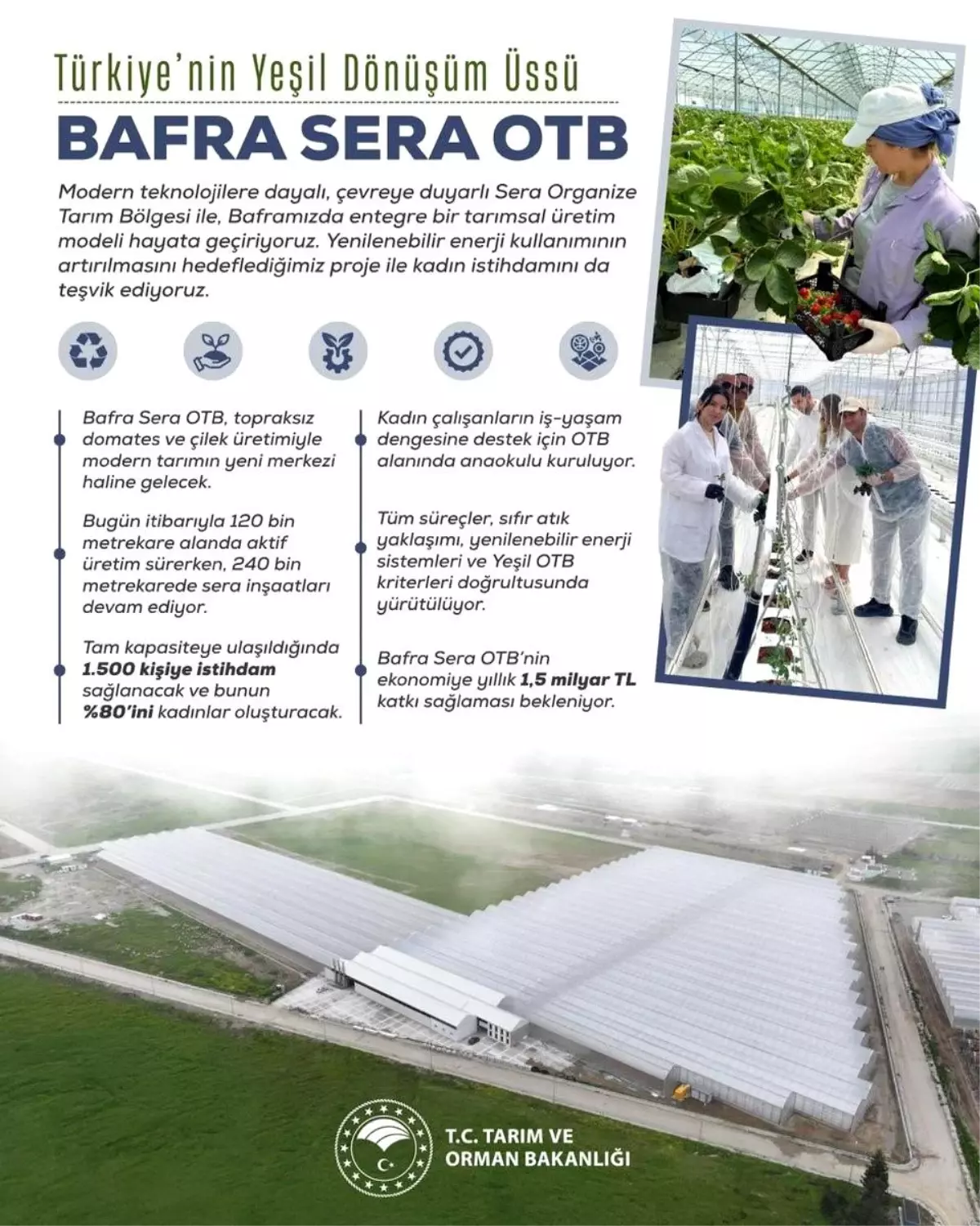 bafra sera organize tarim bolgesi projesi kadin istihdami ve ekonomik katki xsBJO4cp.jpg