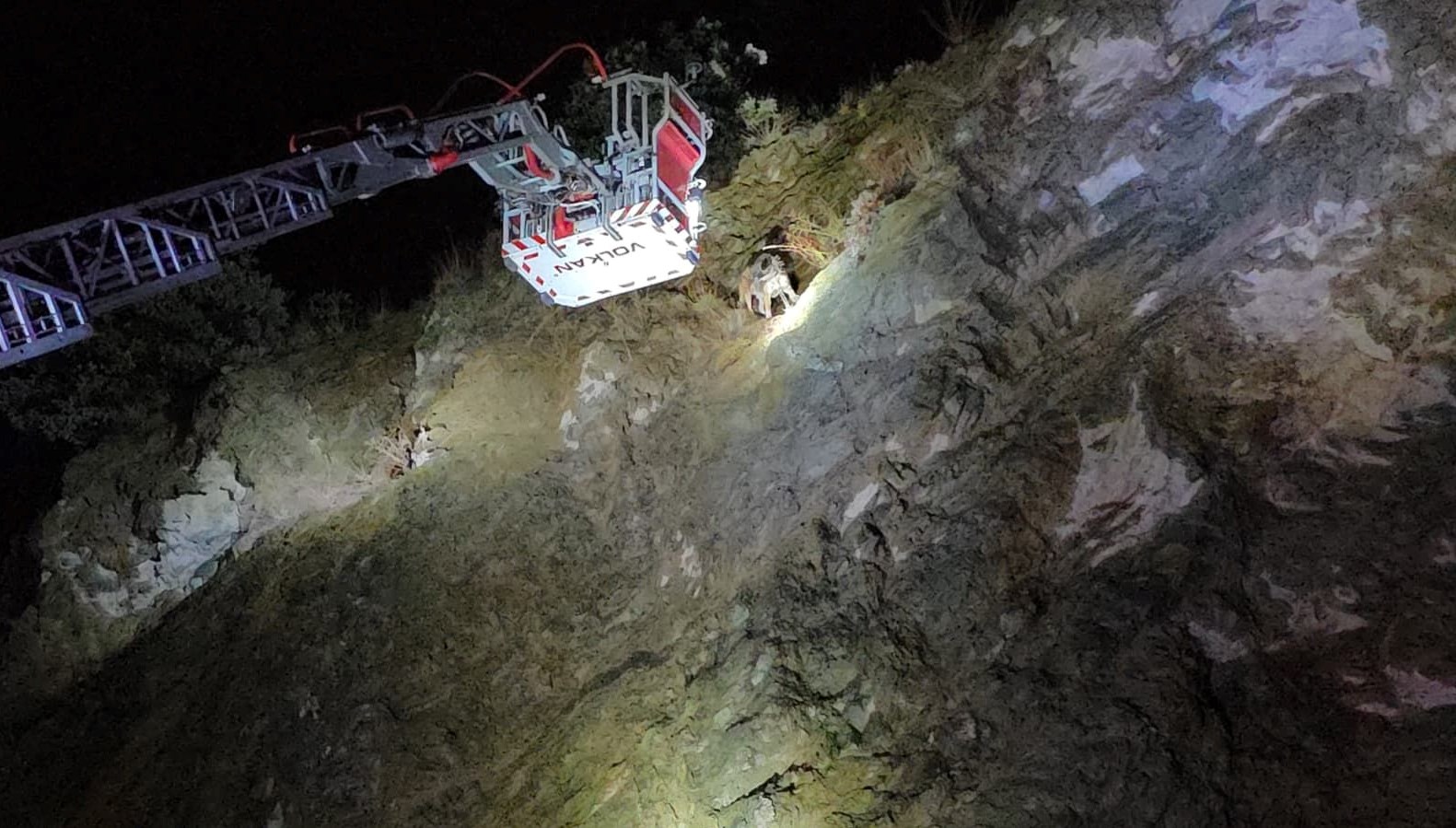 ucurumun ortasinda mahsur kalan kopege itfaiye yetisti ajOlex38.jpg