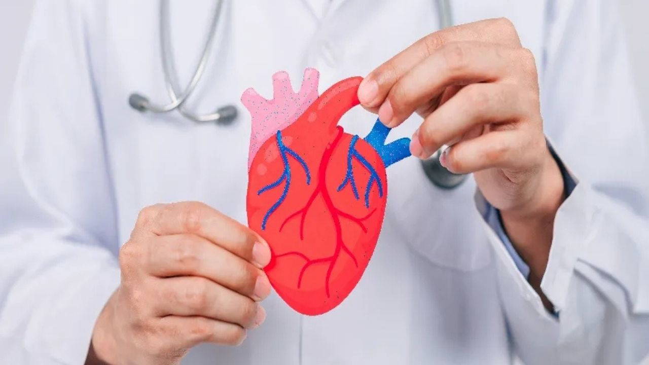 gece gunduz arasindaki yuksek sicaklik farki damar yapisini bozup kalp krizi riskini artiriyor zBgE4wmT.jpg