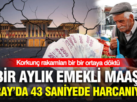 Korkunc rakamlari bir bir ortaya doktu bir aylik emekli maasi sarayda 43 saniyede harcaniyor NdeLcbnx