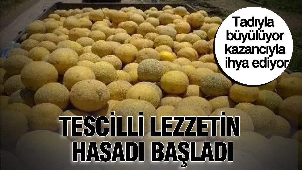 Tadiyla buyuluyor kazanciyla ihya ediyor tescilli lezzetin hasadi basladi PIWbYmVb